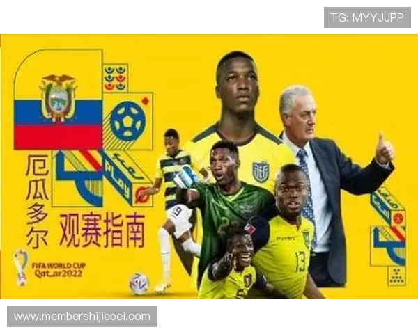 世界杯淘汰赛期间的观赛指南，最佳观赛地点推荐