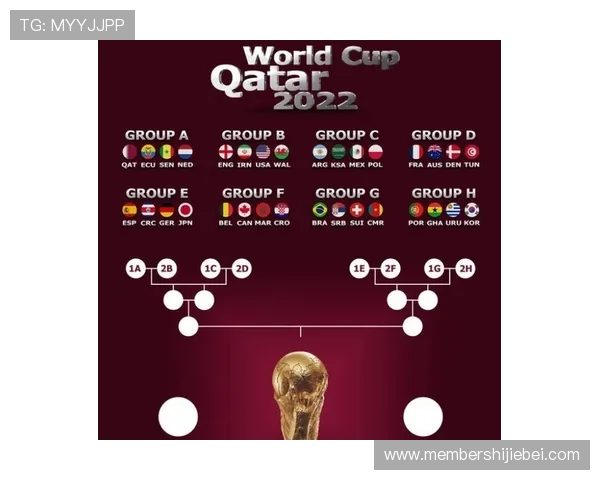 卡塔尔世界杯晋级球队排名前十名详细榜单分析