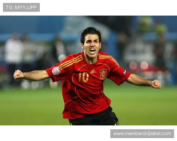 南非世界杯主题曲在全球范围内的传播与受欢迎程度