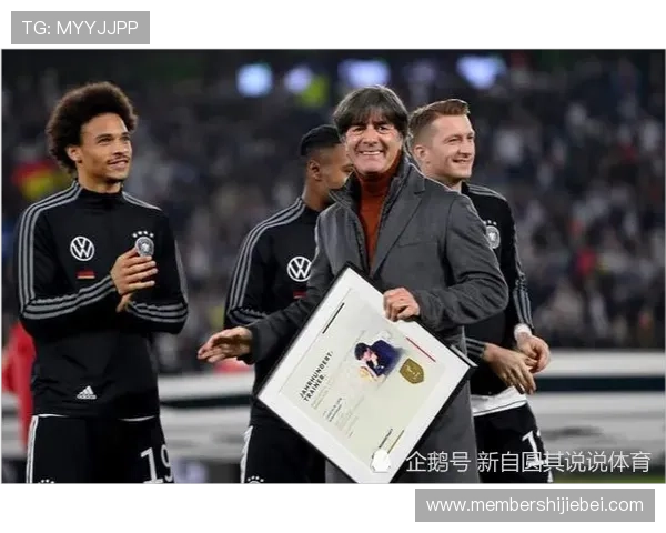 2024年世界杯官网入口中文版全面解析,帮助用户轻松找到官方入口及相关操作流程