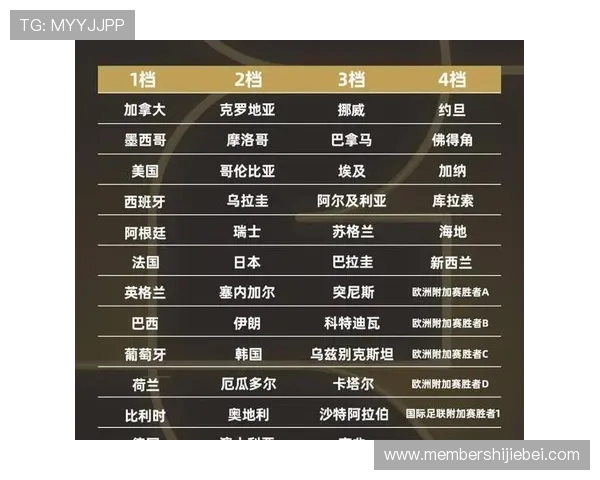 2026年世界杯分组情况全面解读，关注热门球队的分组策略